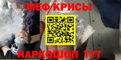 стафф Кингисепп