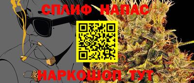стафф Кингисепп