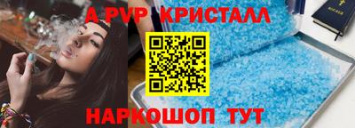 стафф Кингисепп