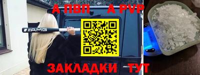 стафф Кингисепп