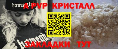 стафф Кингисепп