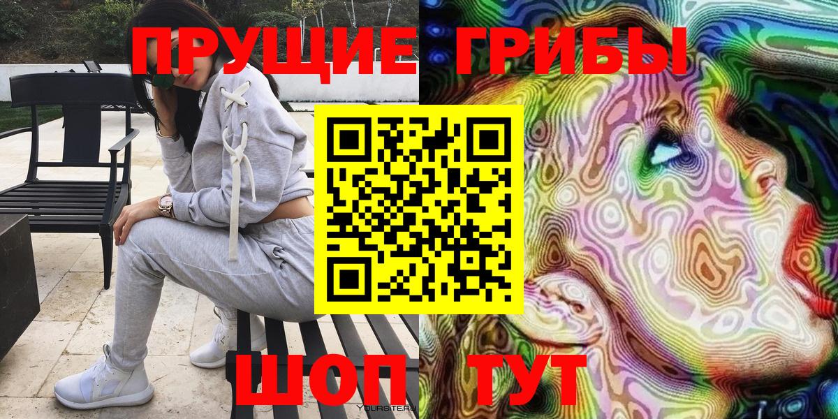Галлюциногенные грибы Psilocybe Мончегорск